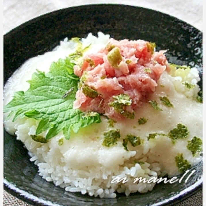 二度美味しい！とろろ＆ネギトロ丼